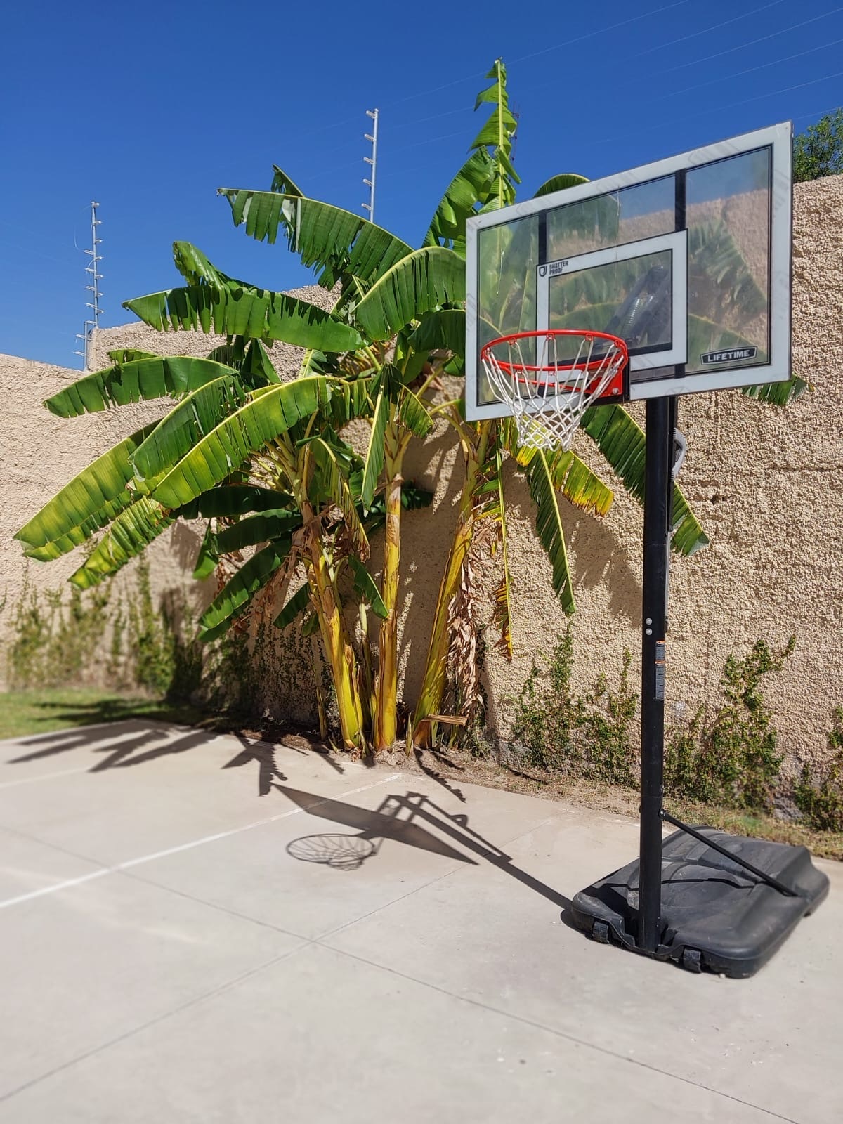 5 de 8