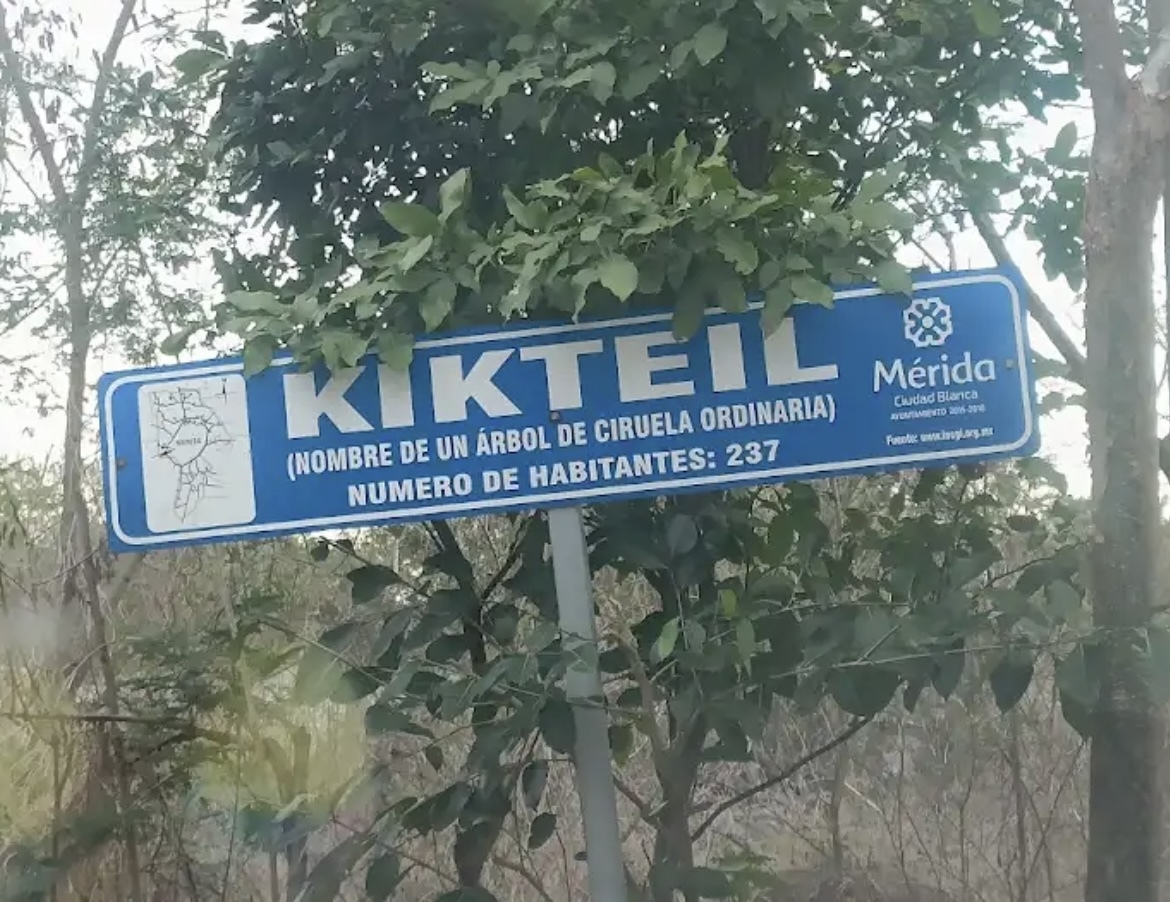 1 de 4