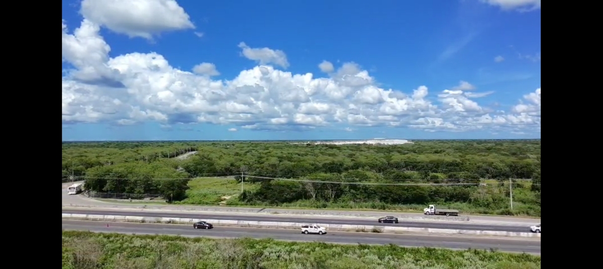 2 de 4