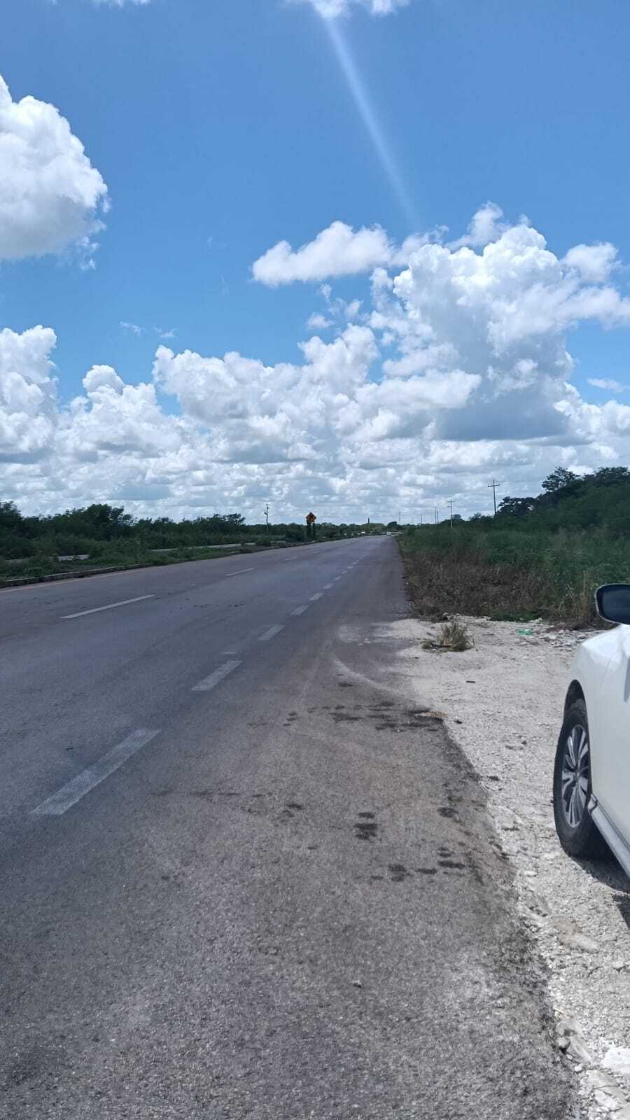 3 de 4