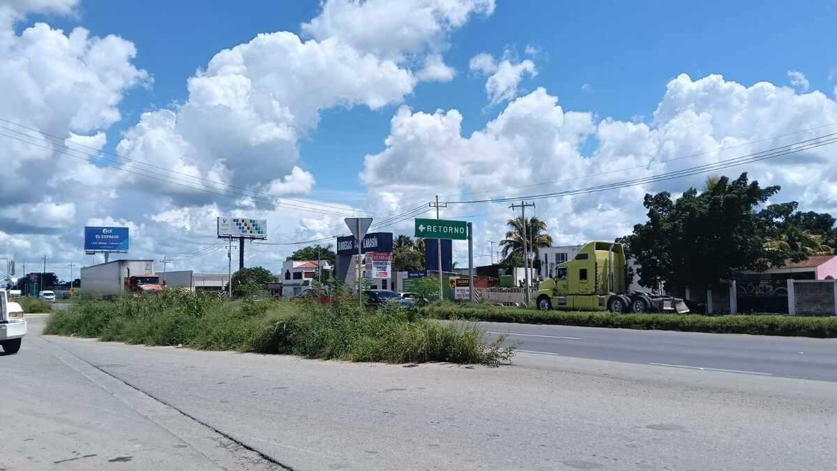 5 de 13