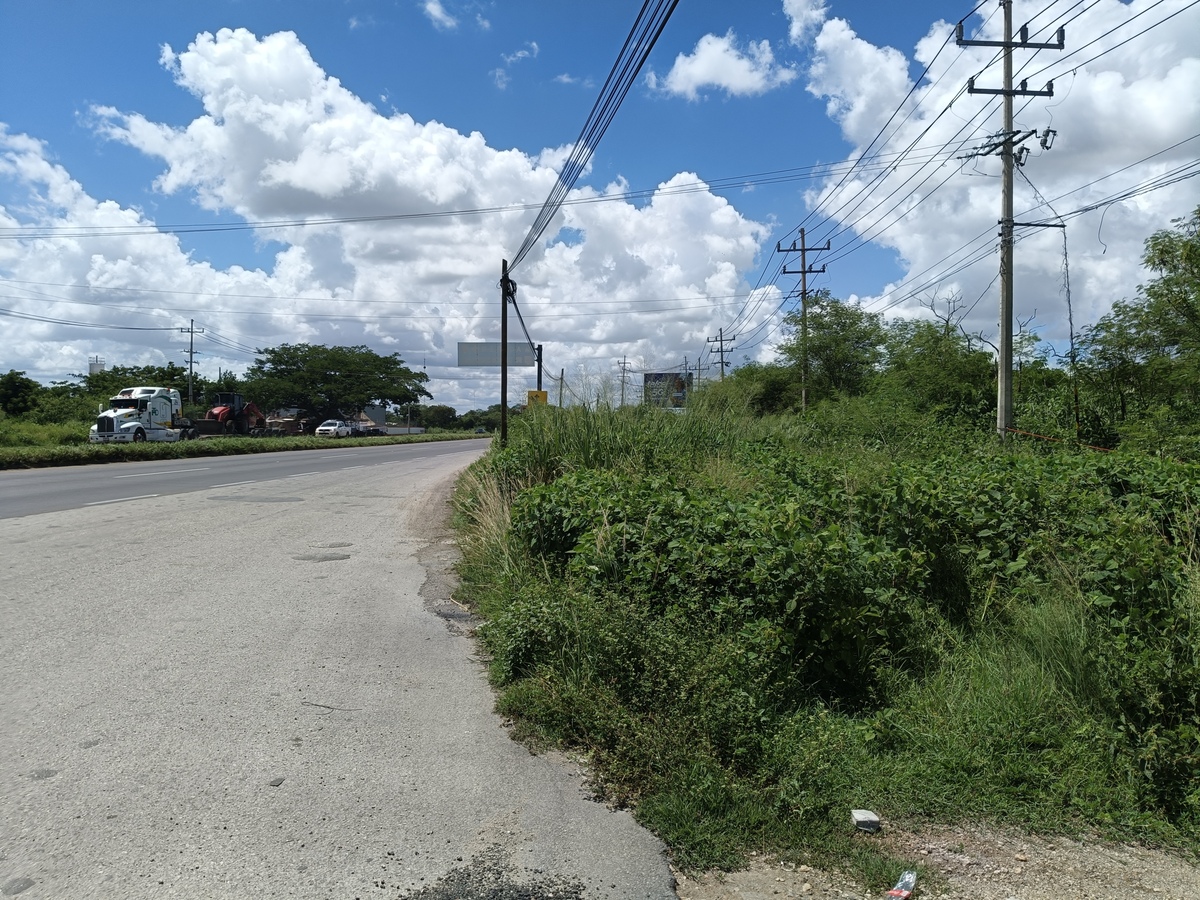 10 de 13
