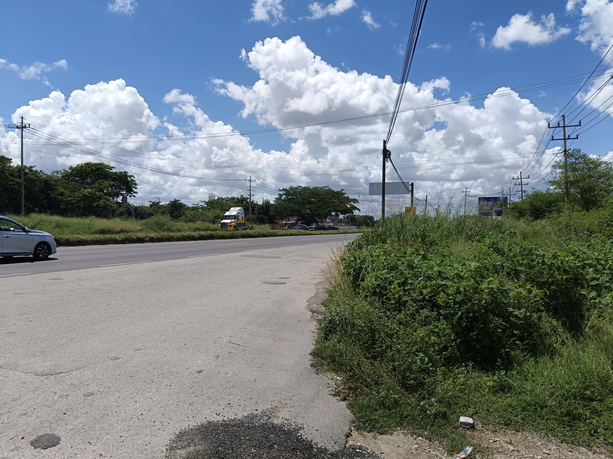 12 de 13