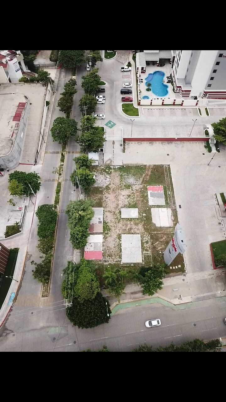 1 de 6