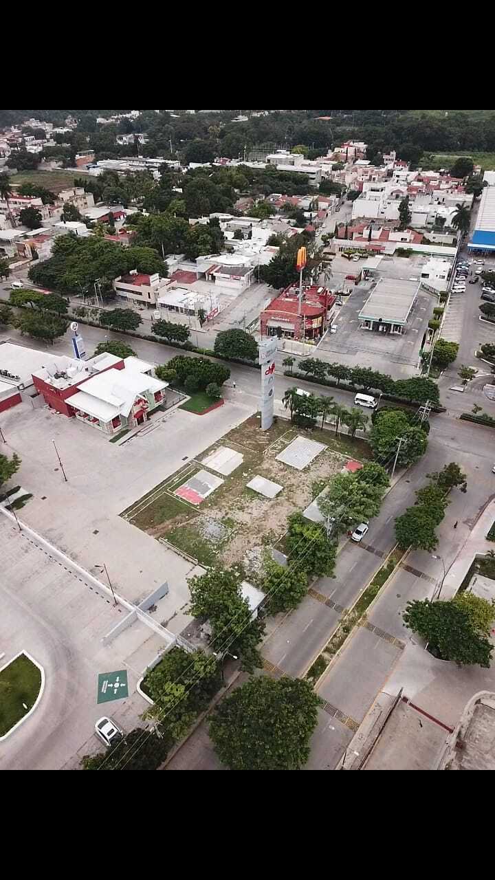 4 de 6