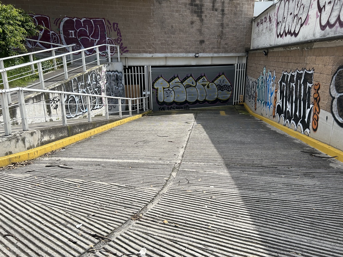 4 de 31