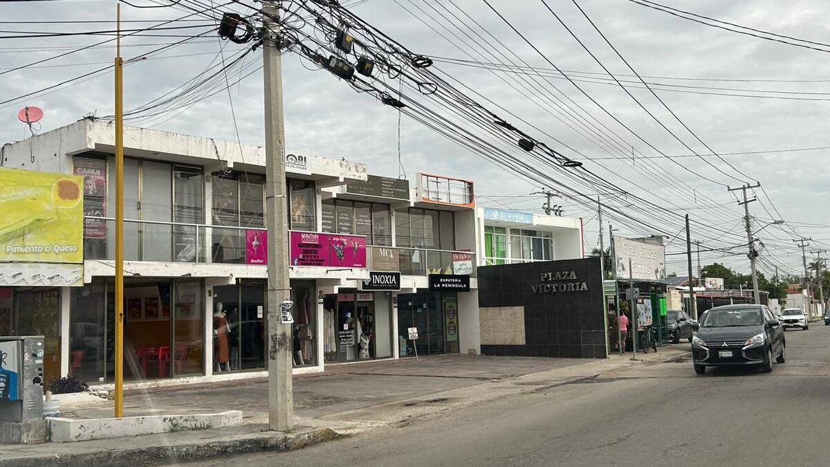 2 de 6