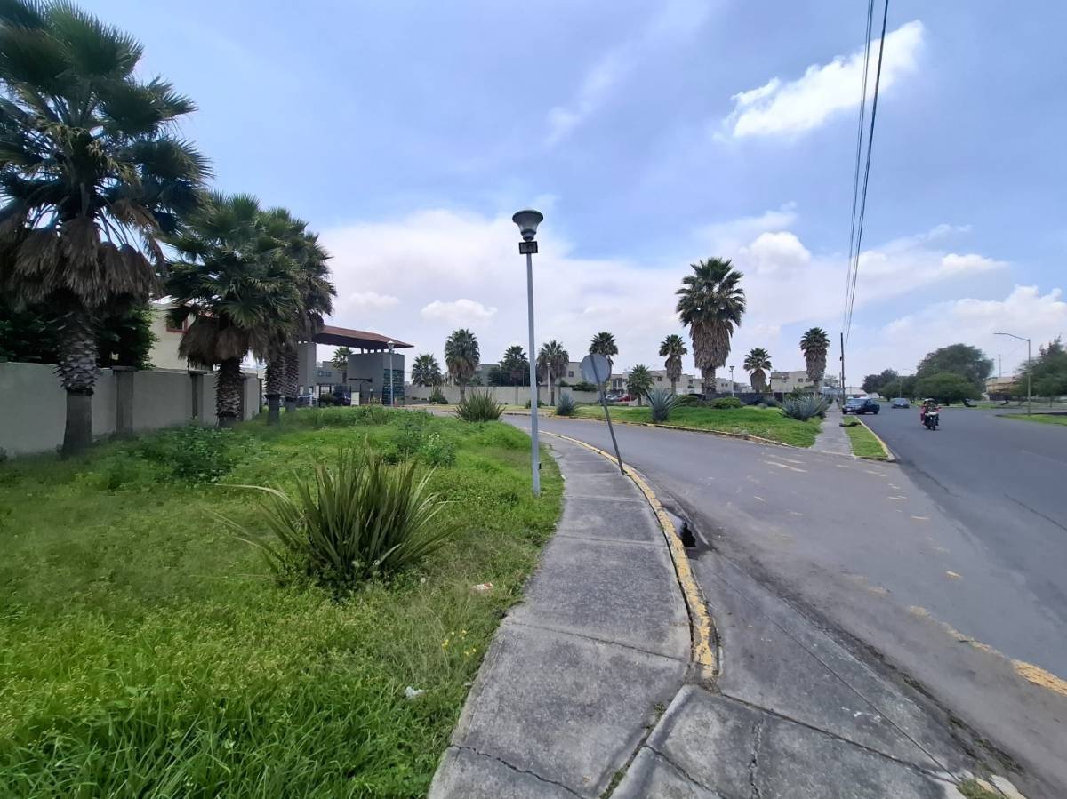3 de 19