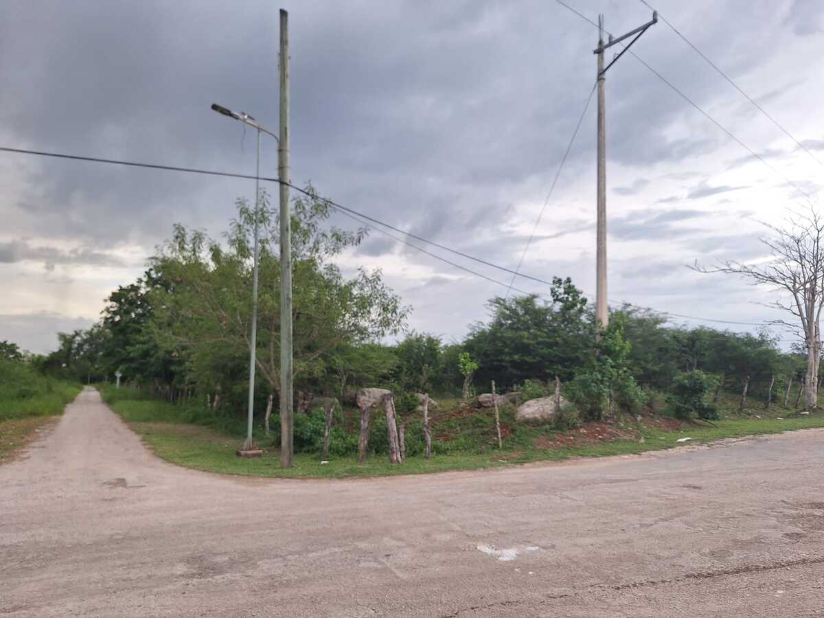 3 de 4