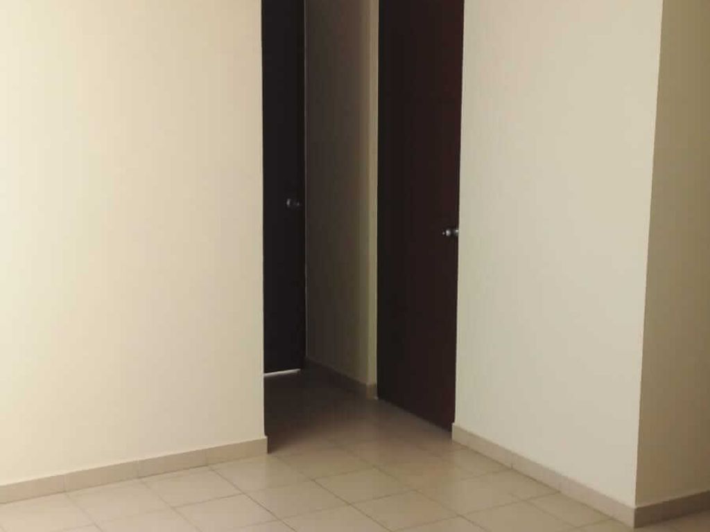 5 de 19