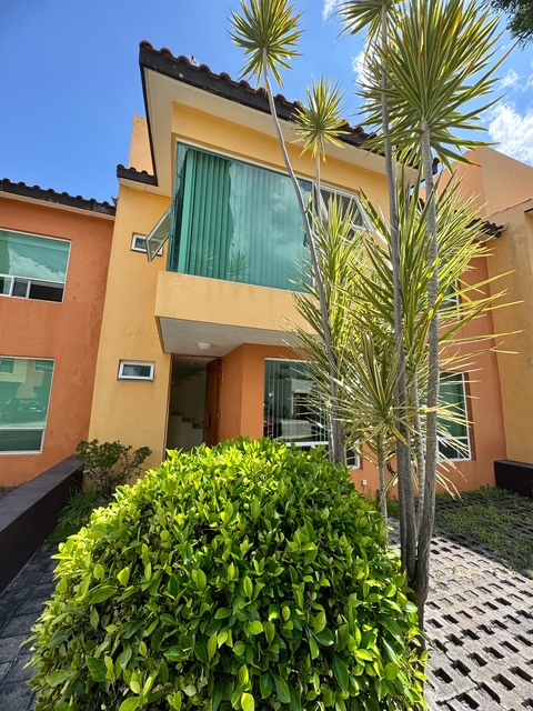 2 de 20