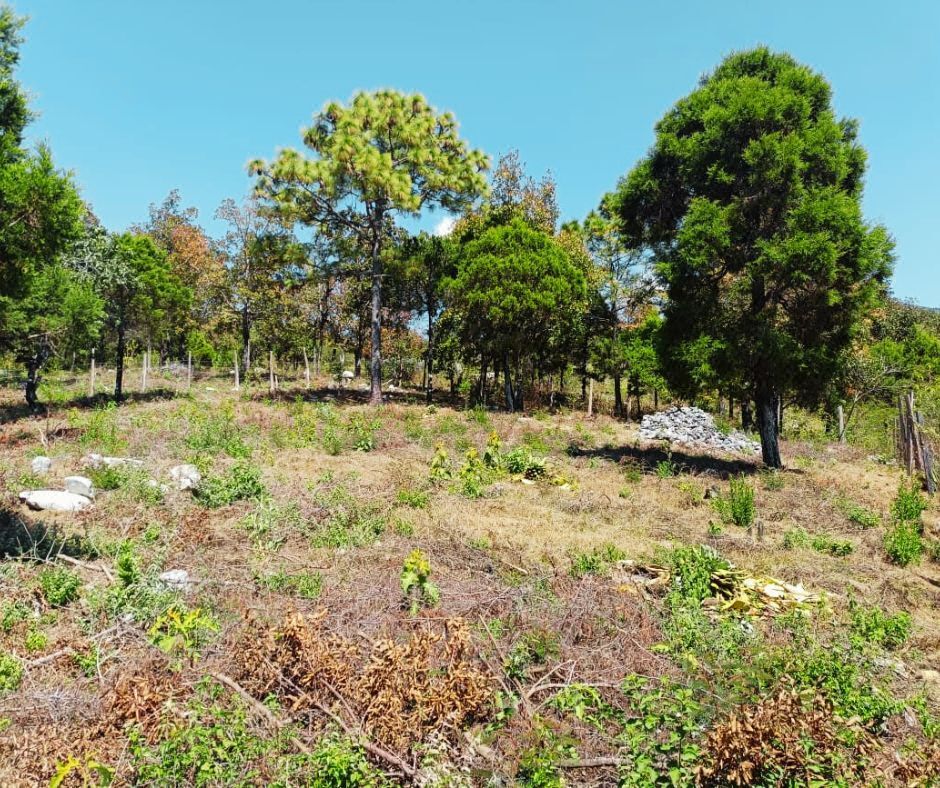 Se vende Terreno en Teopisca