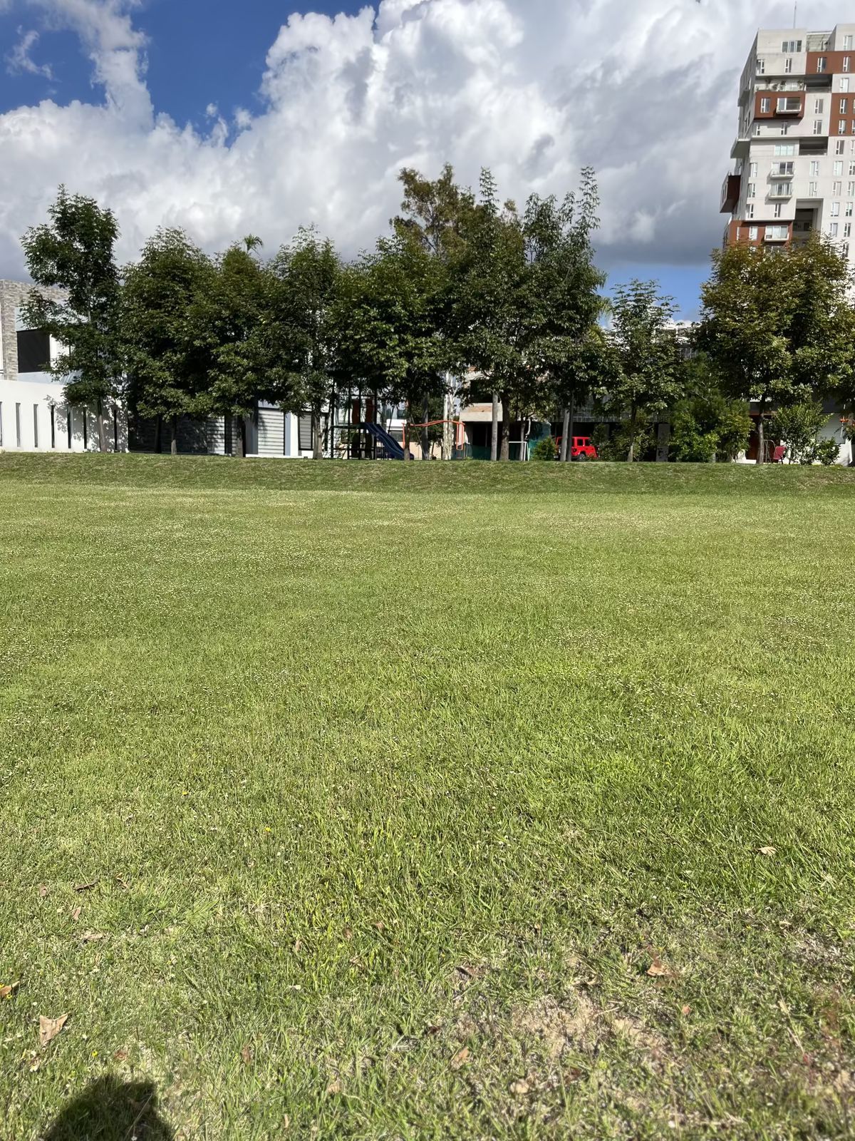3 de 9
