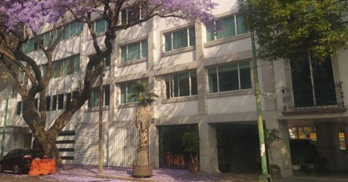 5 de 5