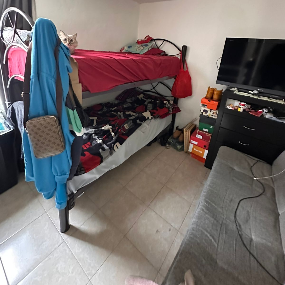 4 de 12