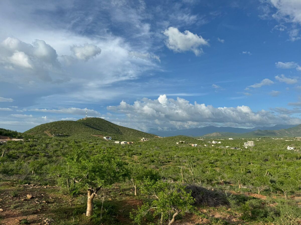 5 de 10