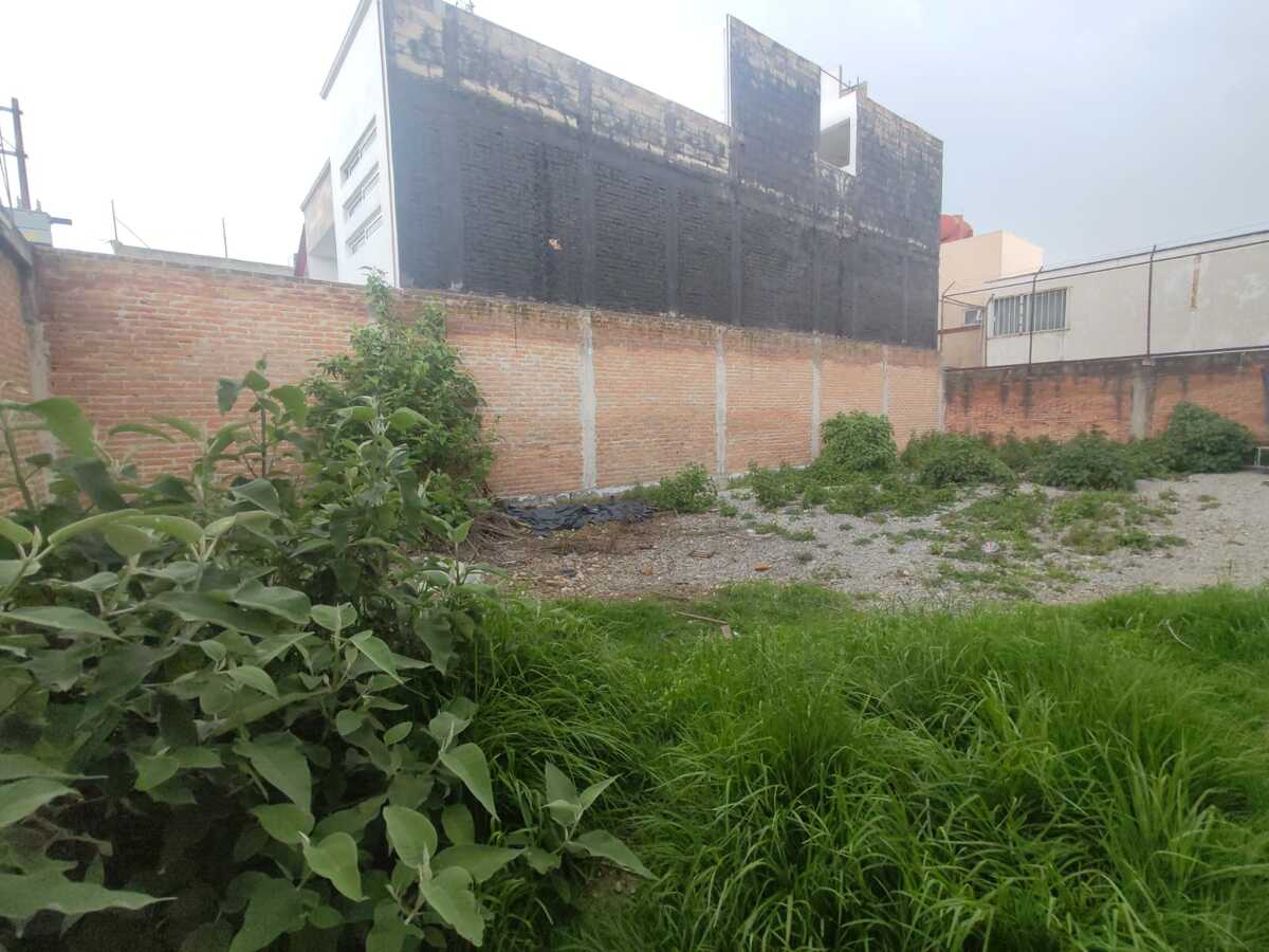 2 de 3
