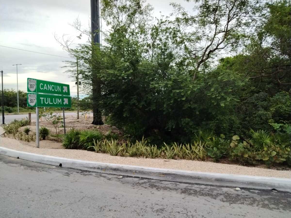 4 de 7