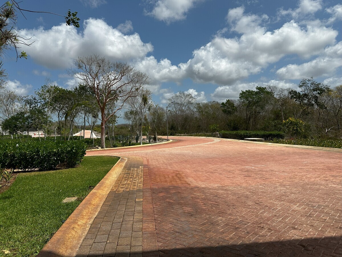 3 de 23
