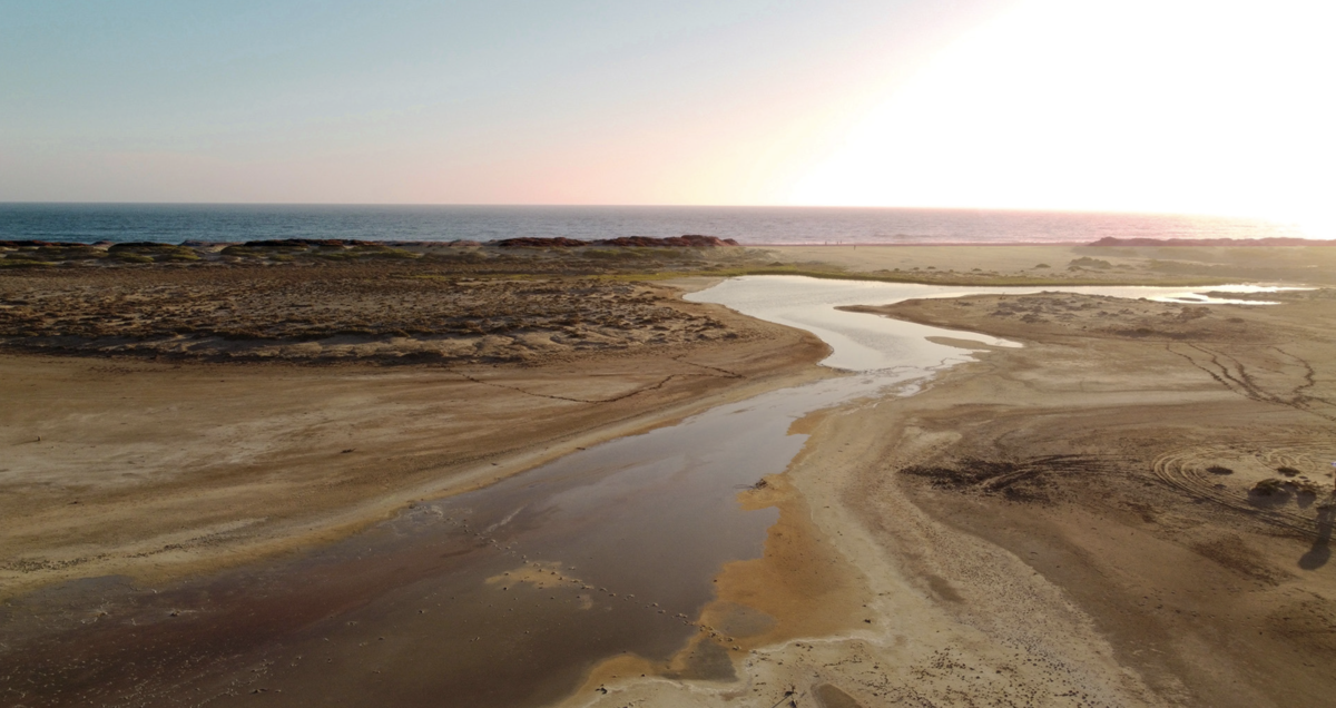 3 de 14: Estuario natural / atardecer