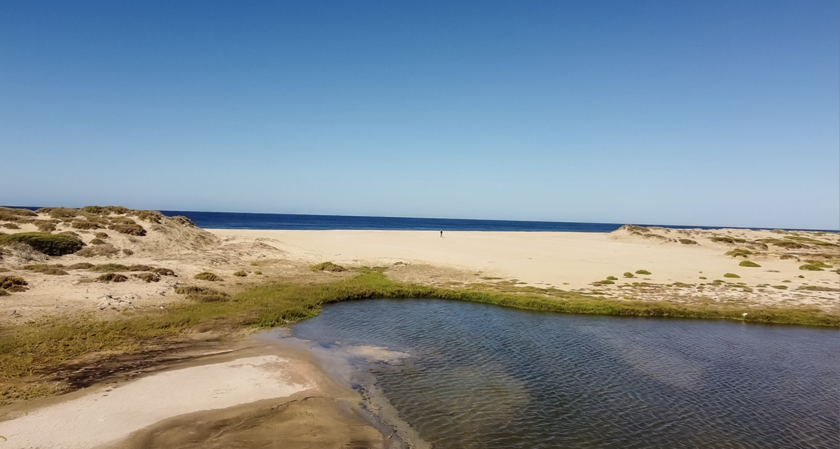 2 de 14: Estuario natural y océano pocífico al fondo