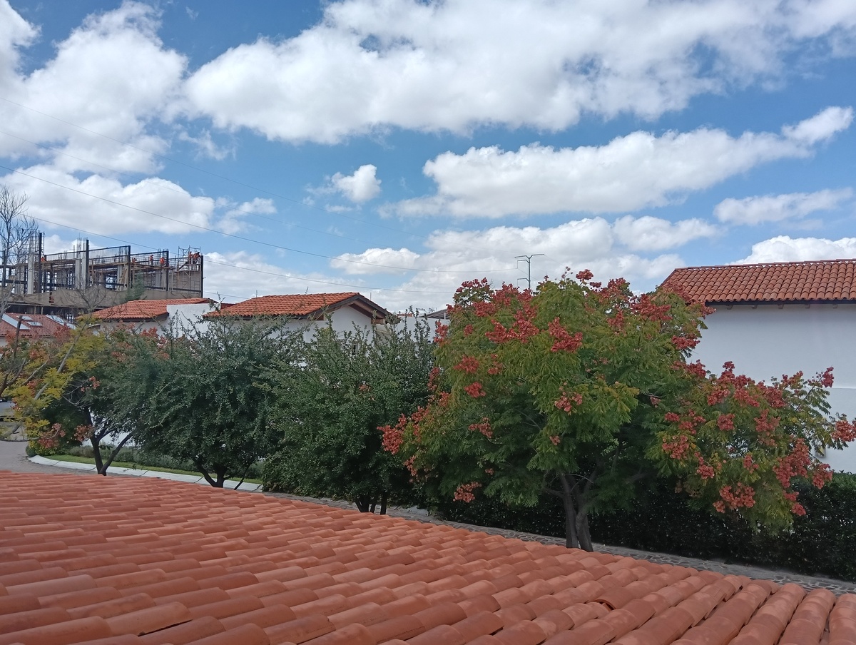 3 de 38