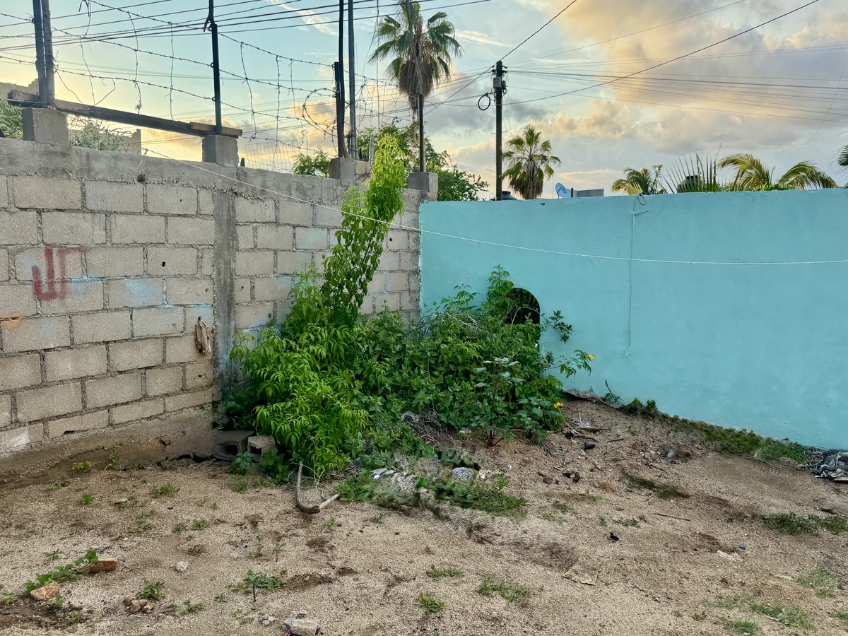 9 de 30