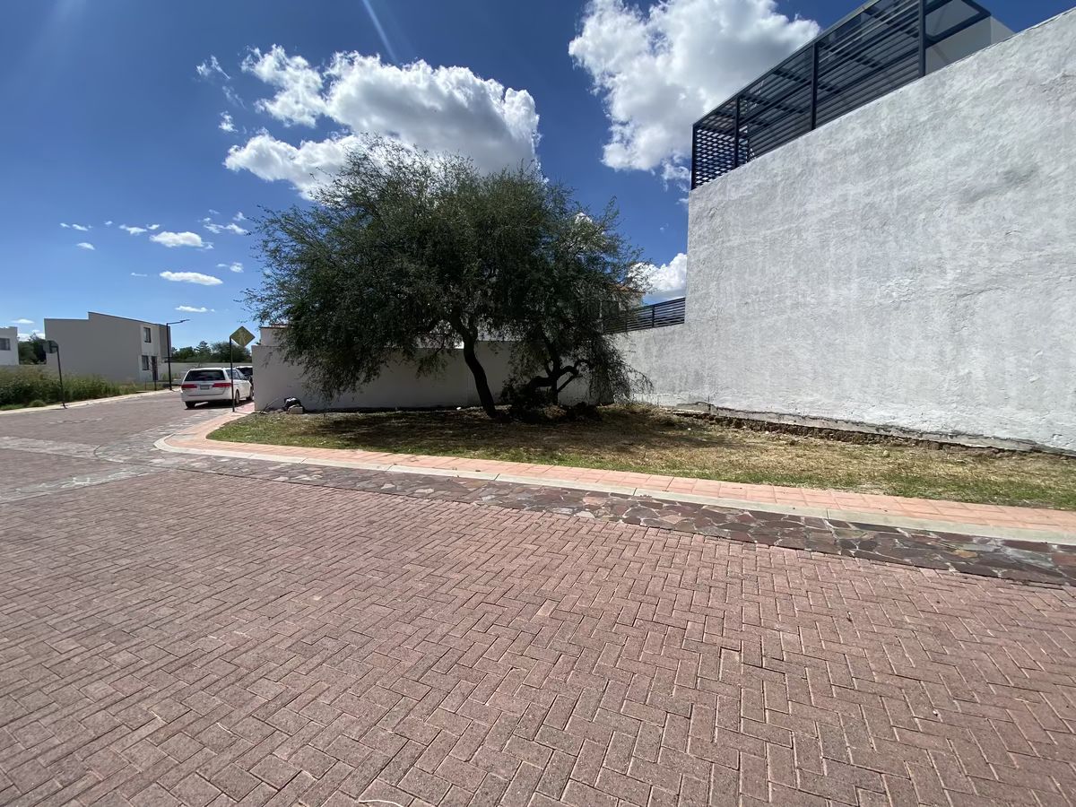 3 de 8