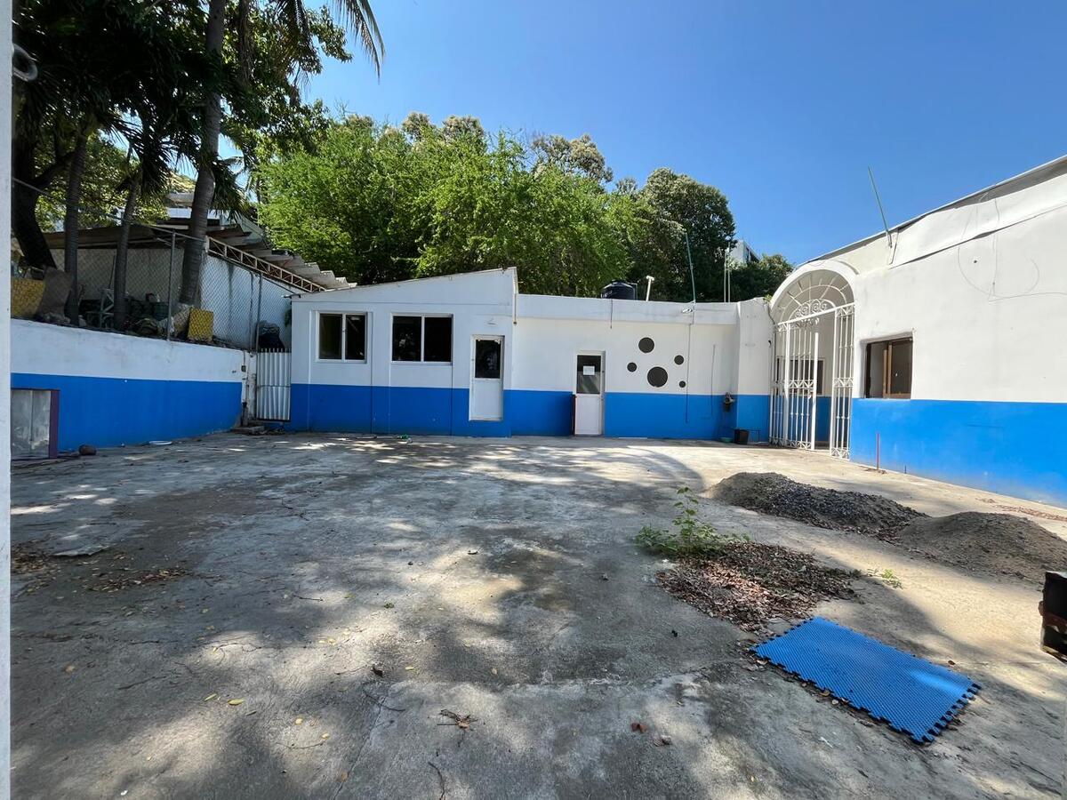 4 de 31