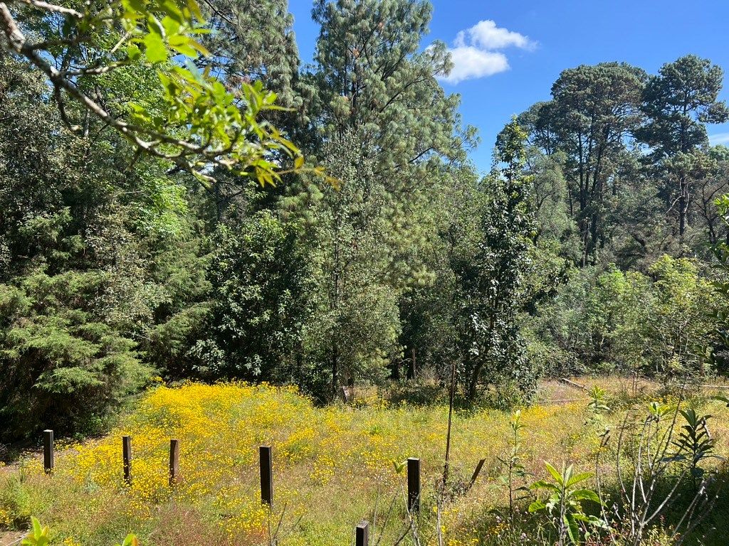 Rancho en Cerro Colorado, Valle de Bravo, foto 30 de 45