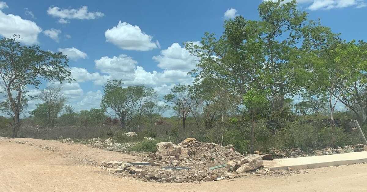2 de 4