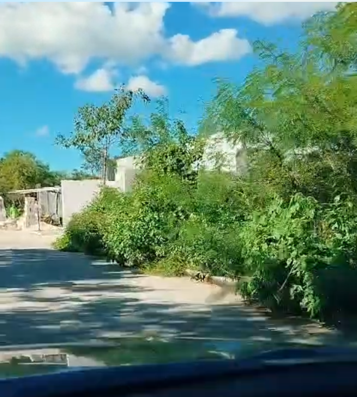1 de 4