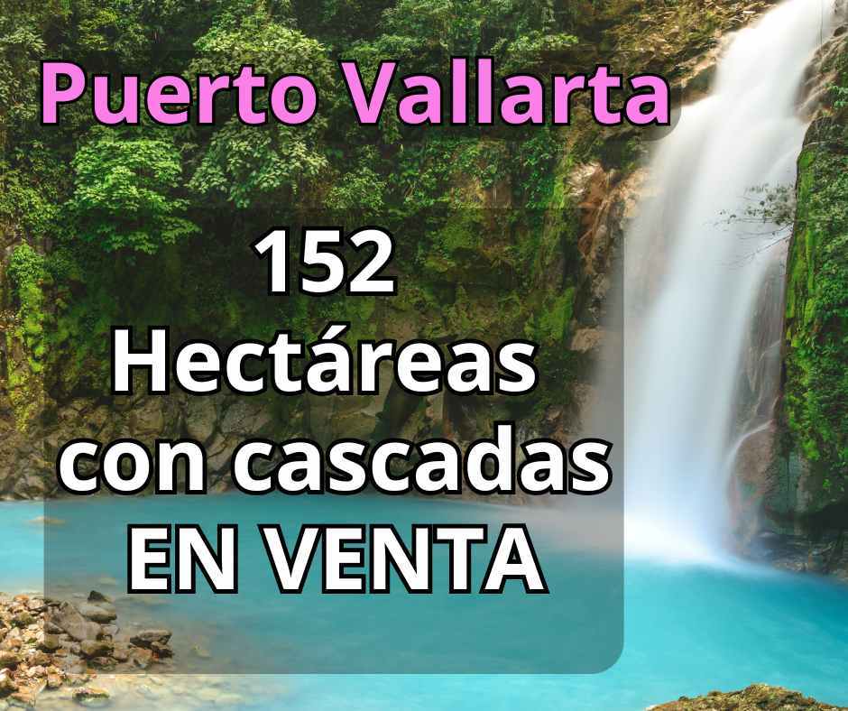 1 de 12