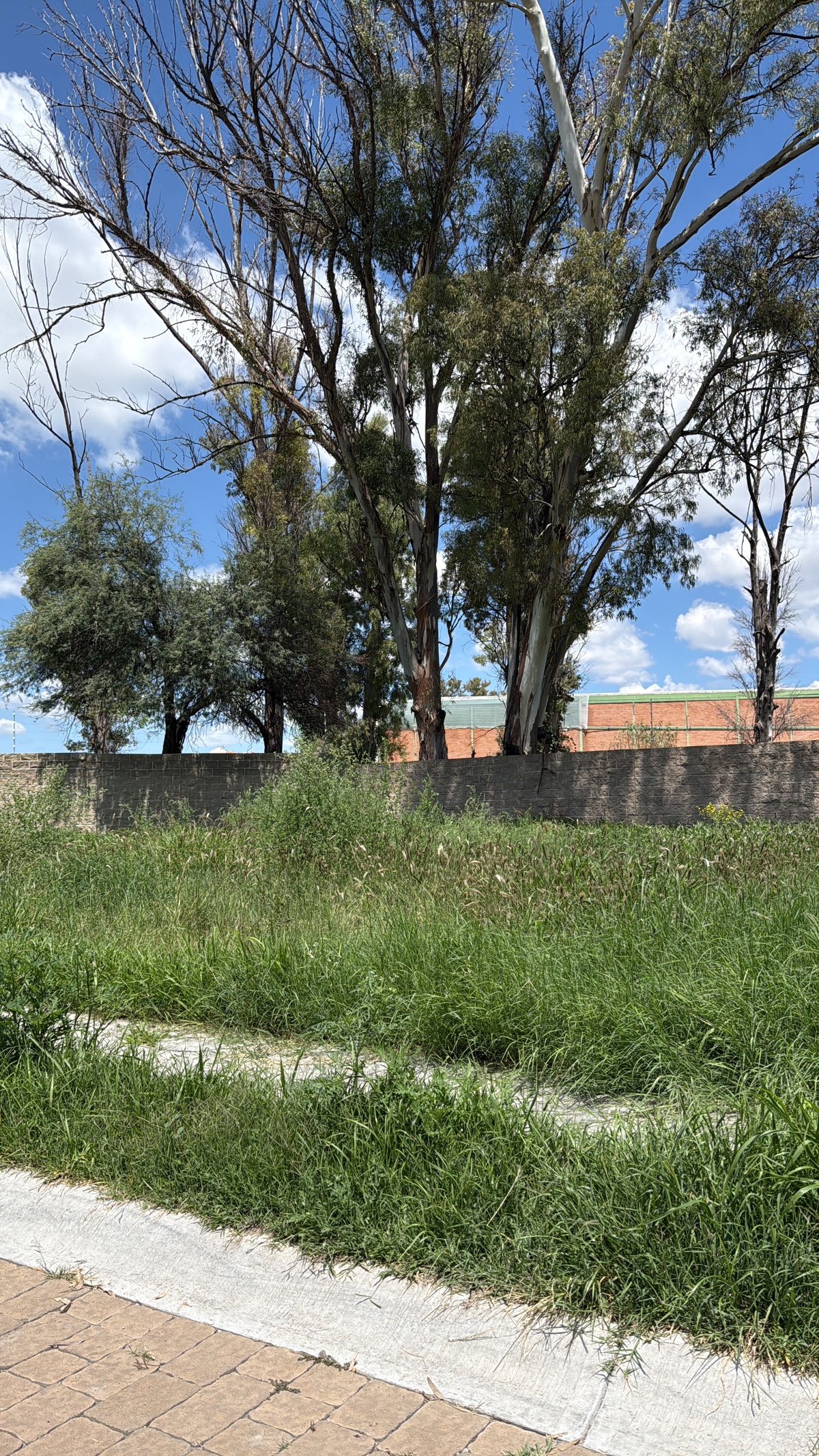 5 de 6