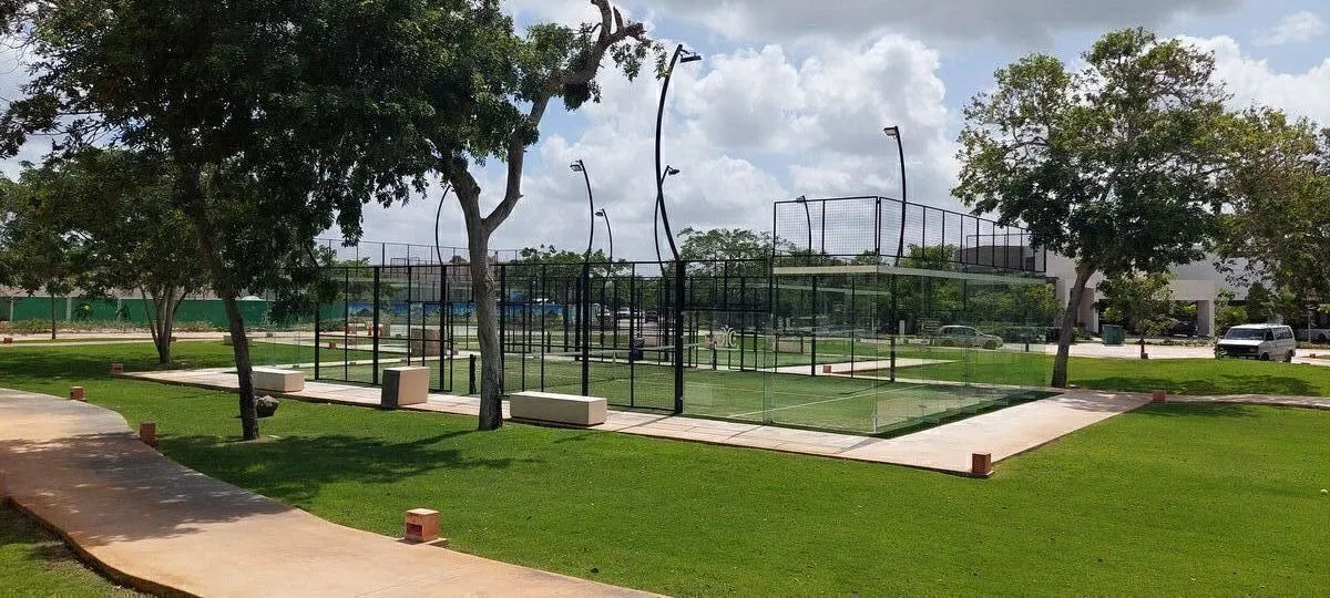 29 de 29