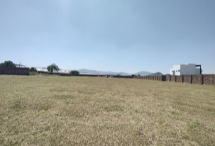 3 de 7