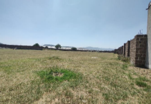 4 de 7