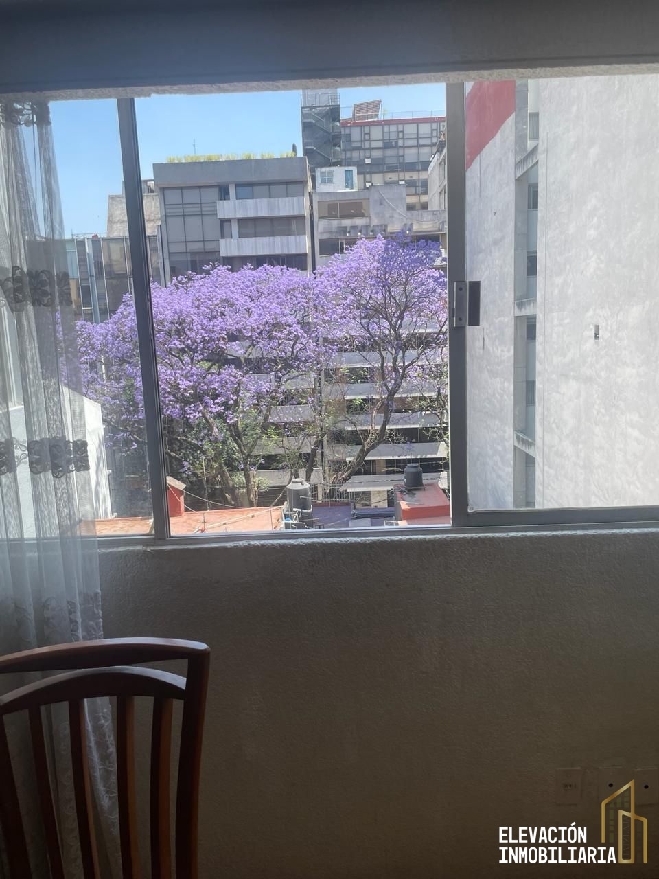 5 de 24