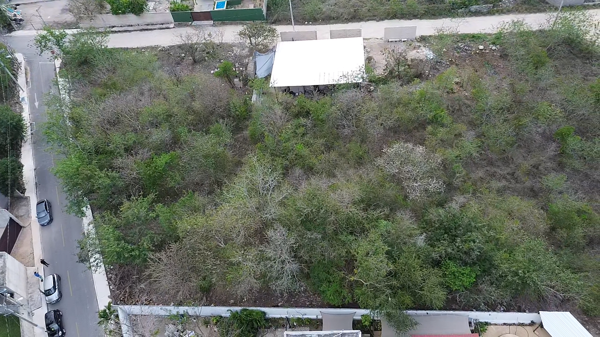 Terreno en Chichi Suárez, Mérida, foto 5 de 7