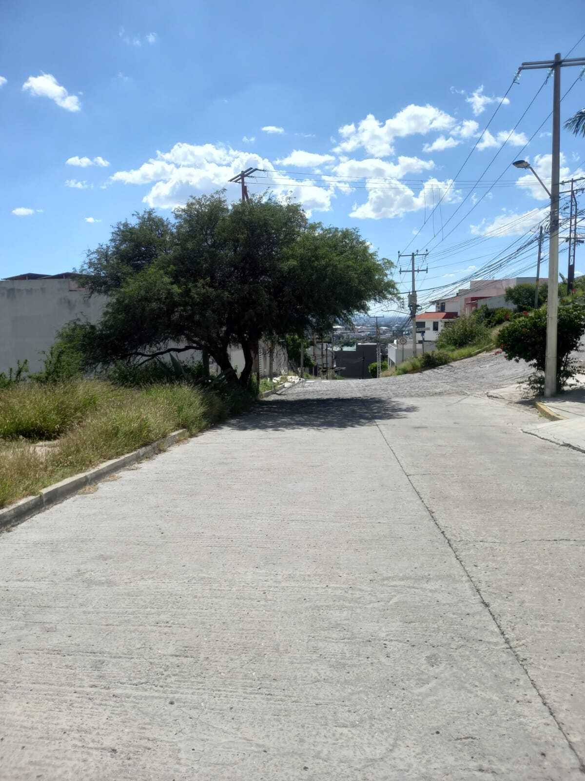 3 de 8
