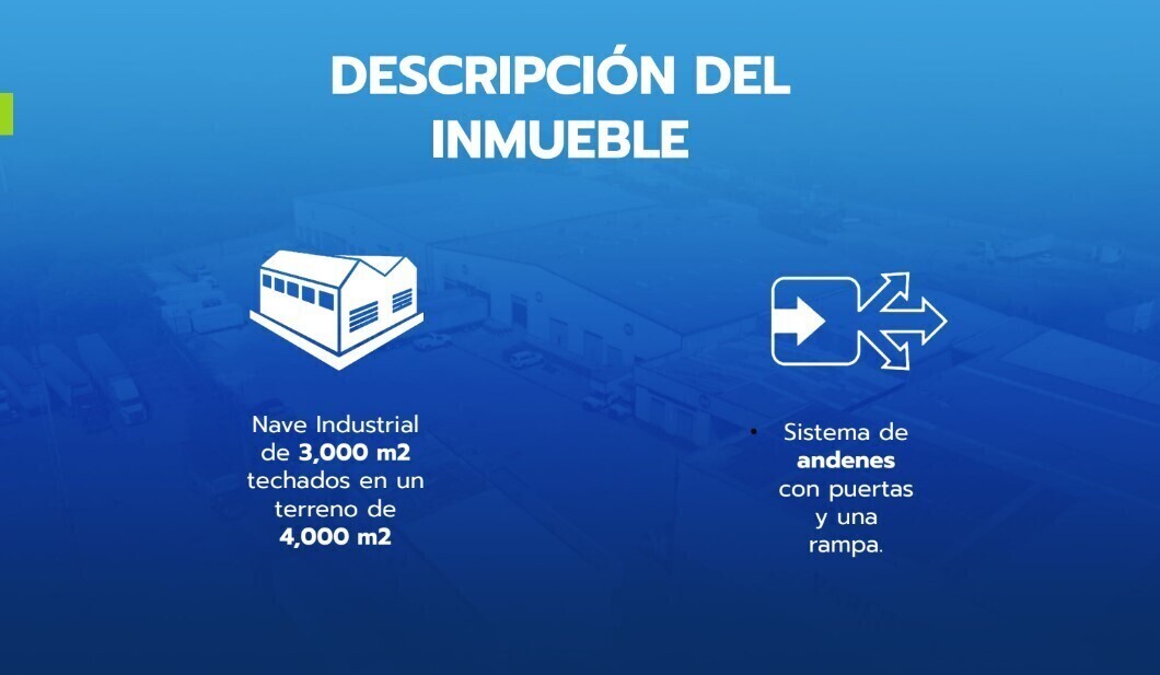 5 de 10