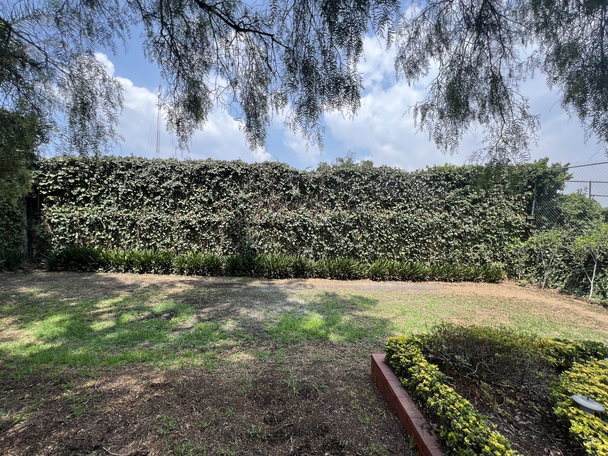 3 of 49