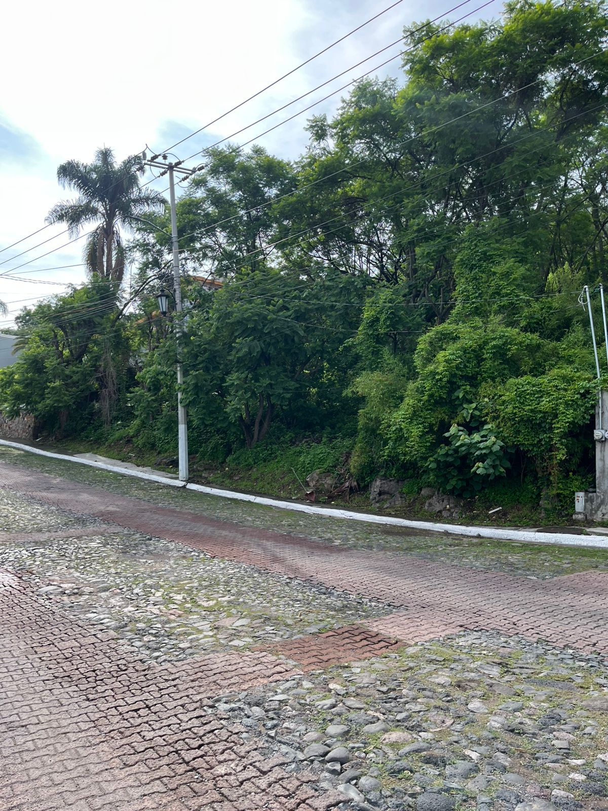 3 de 10