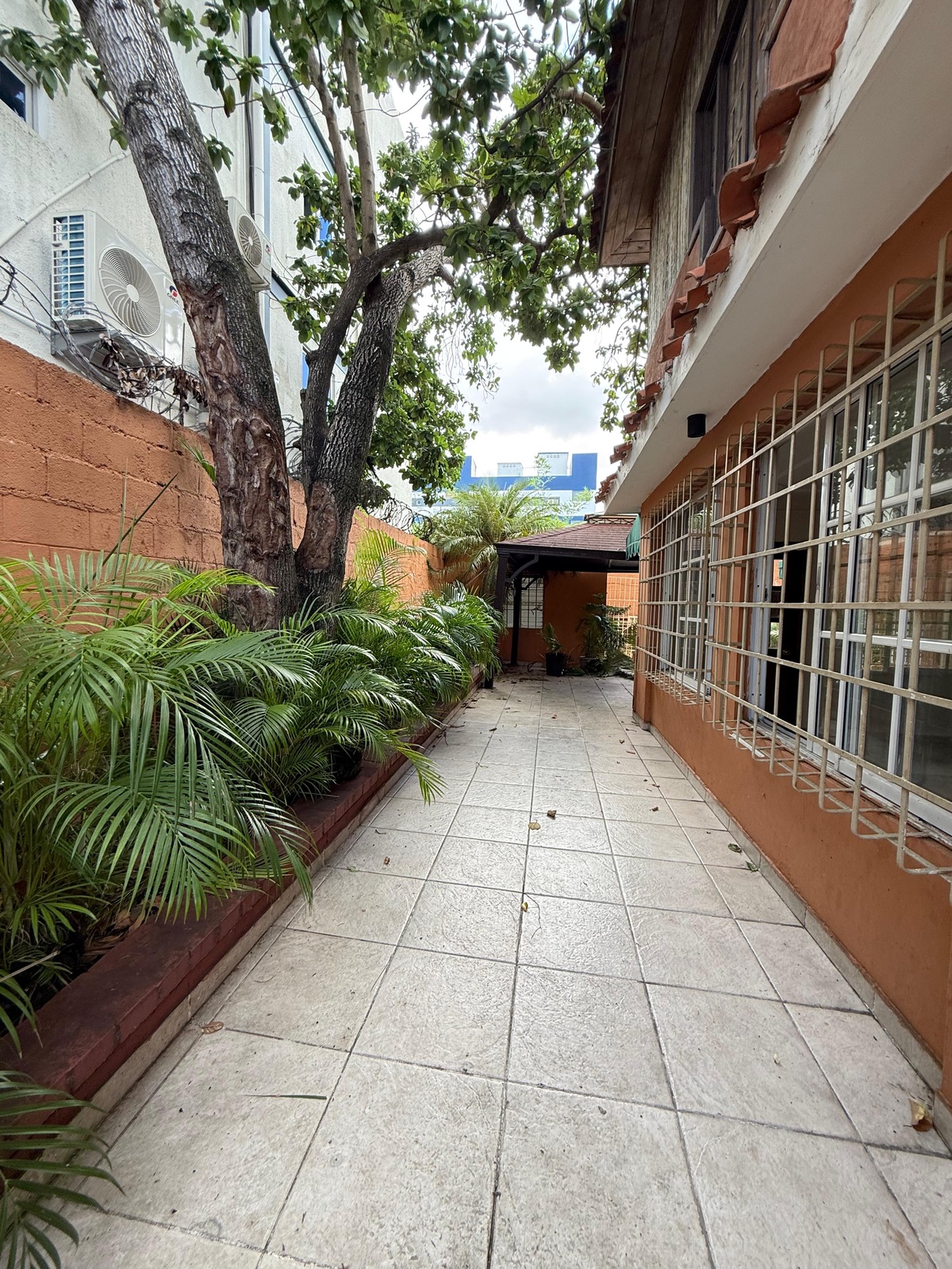 6 de 12