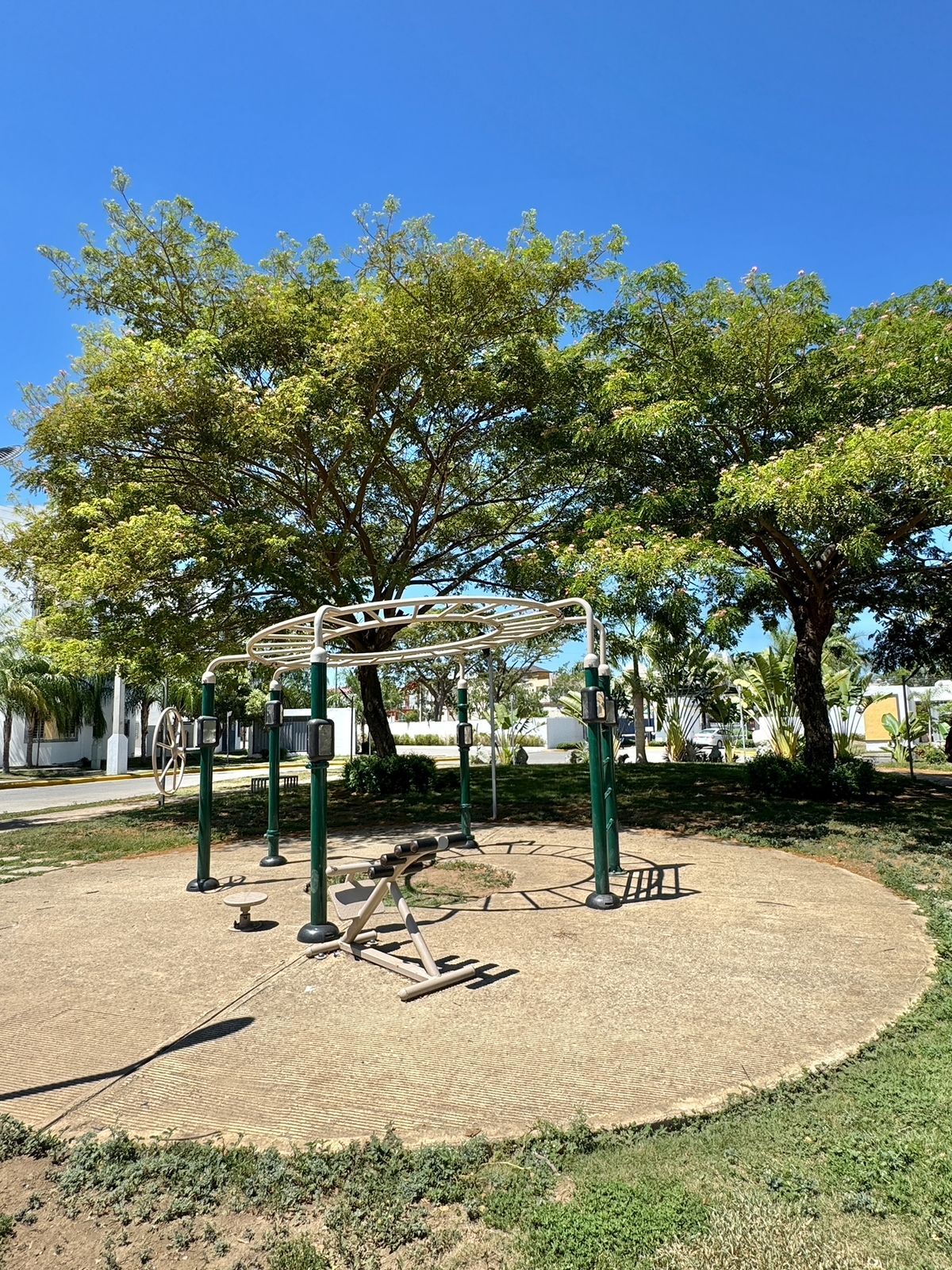 7 de 11