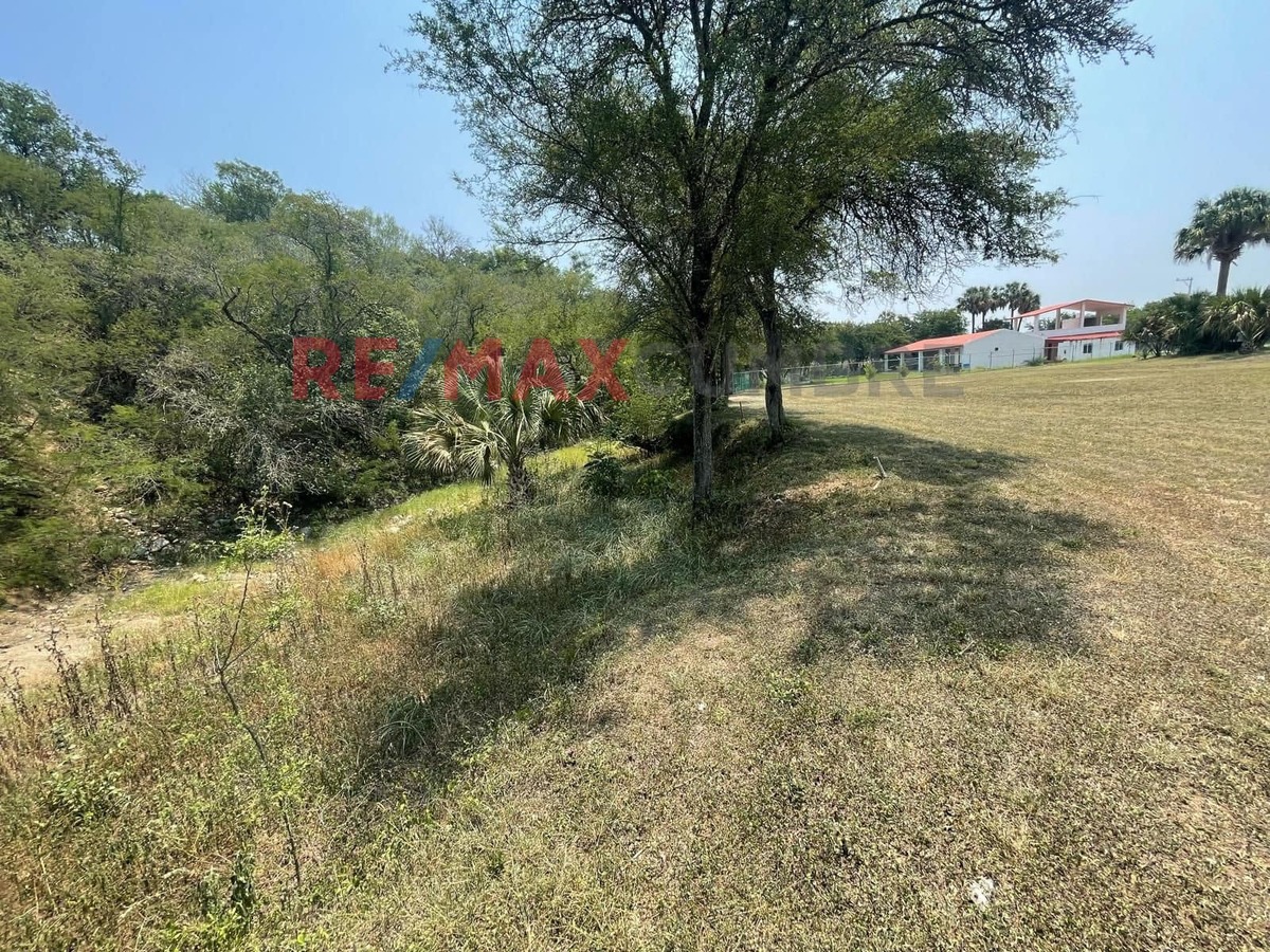 5 de 17