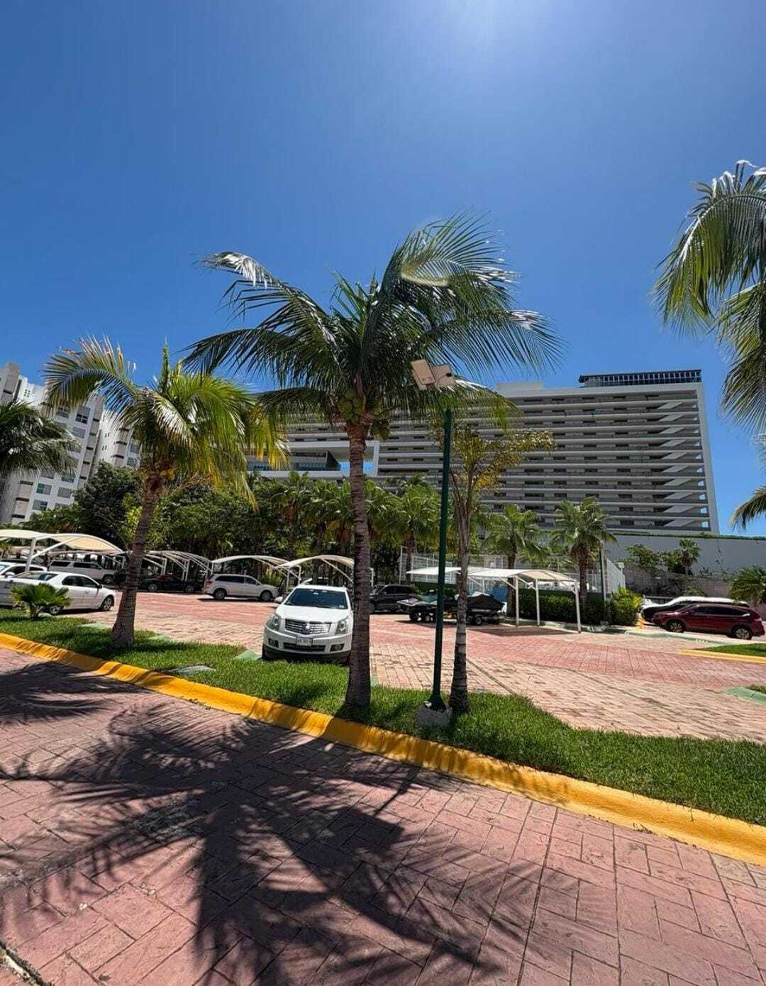 1 de 29