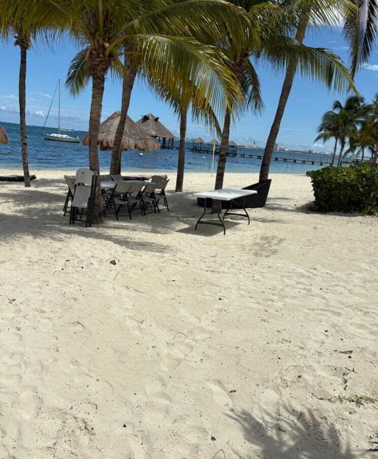 11 de 29