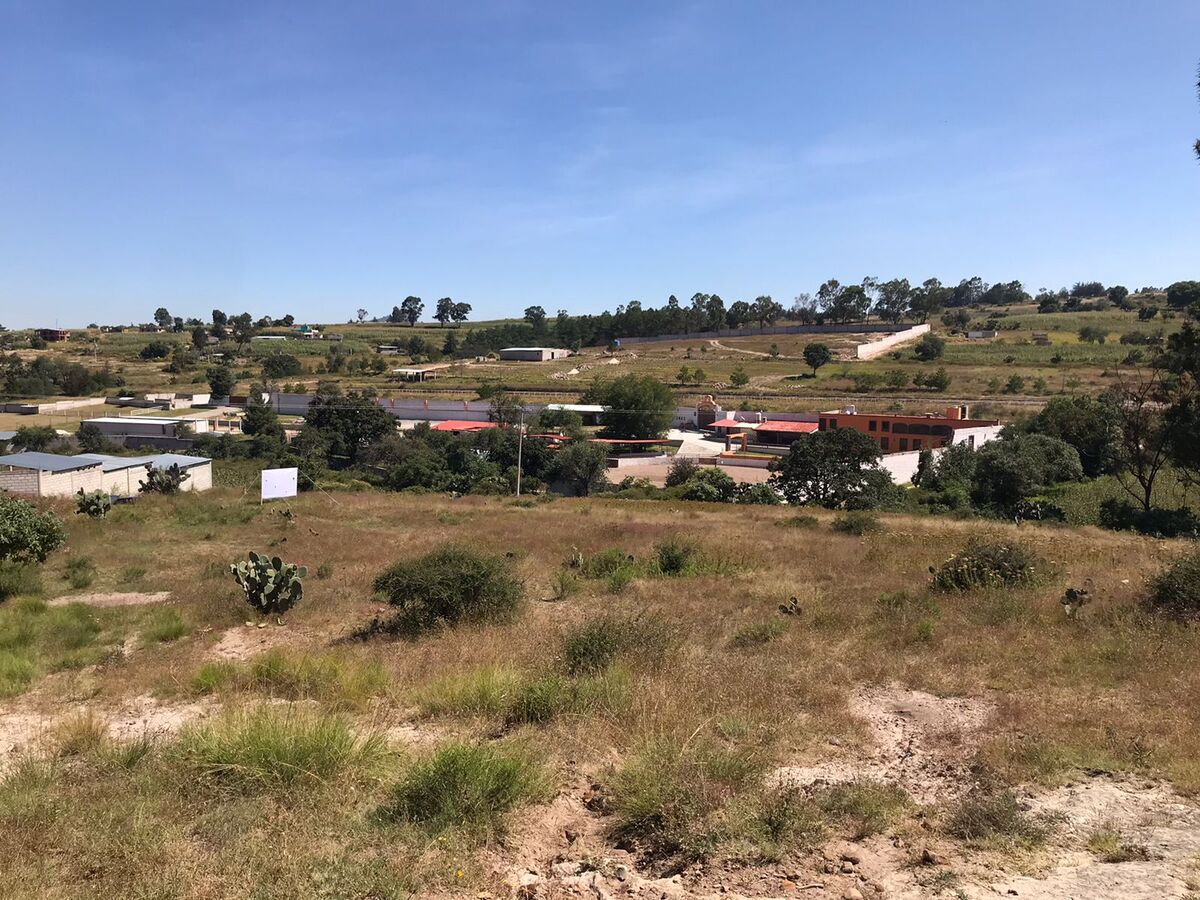 5 de 11