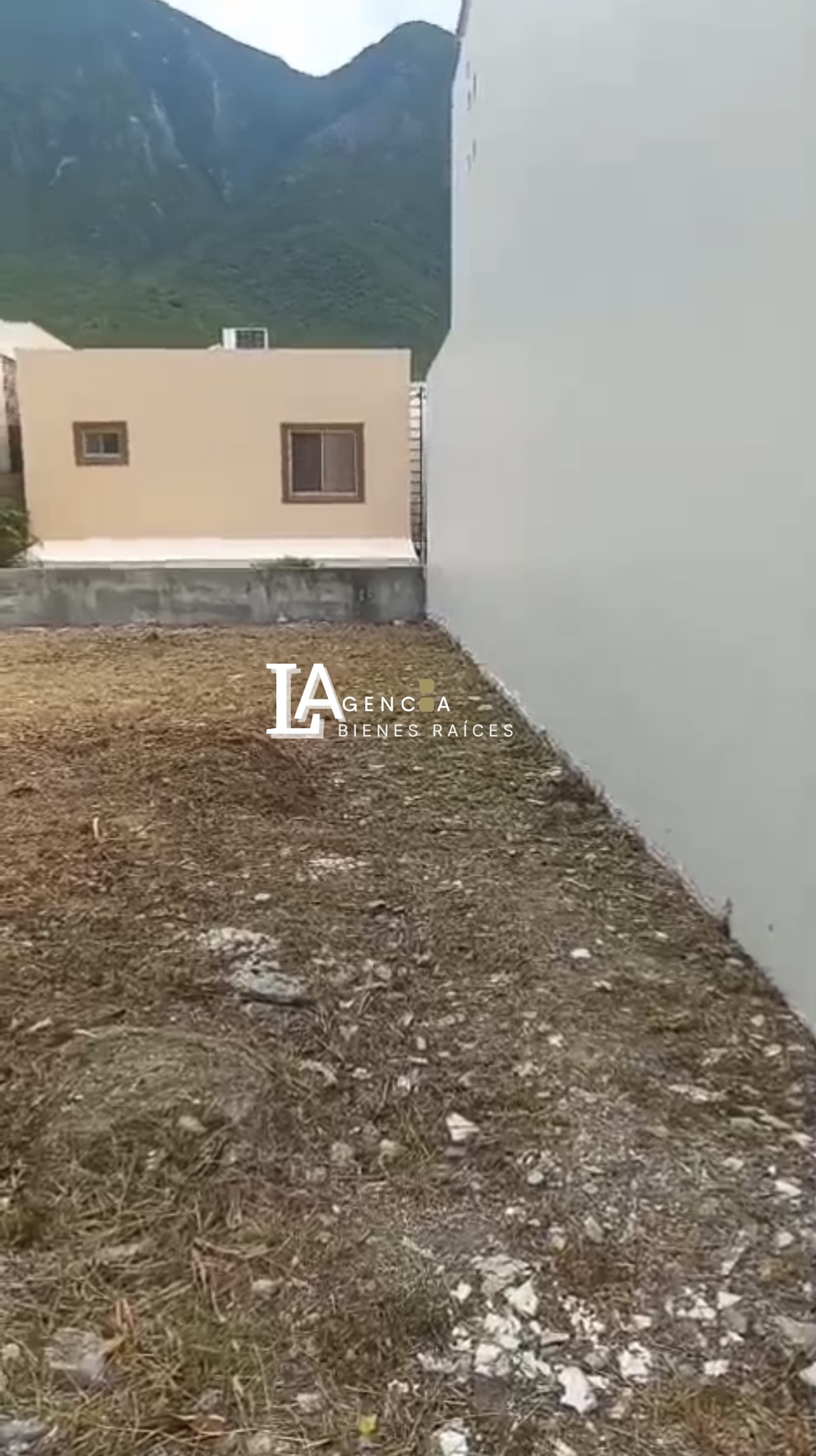 4 de 8